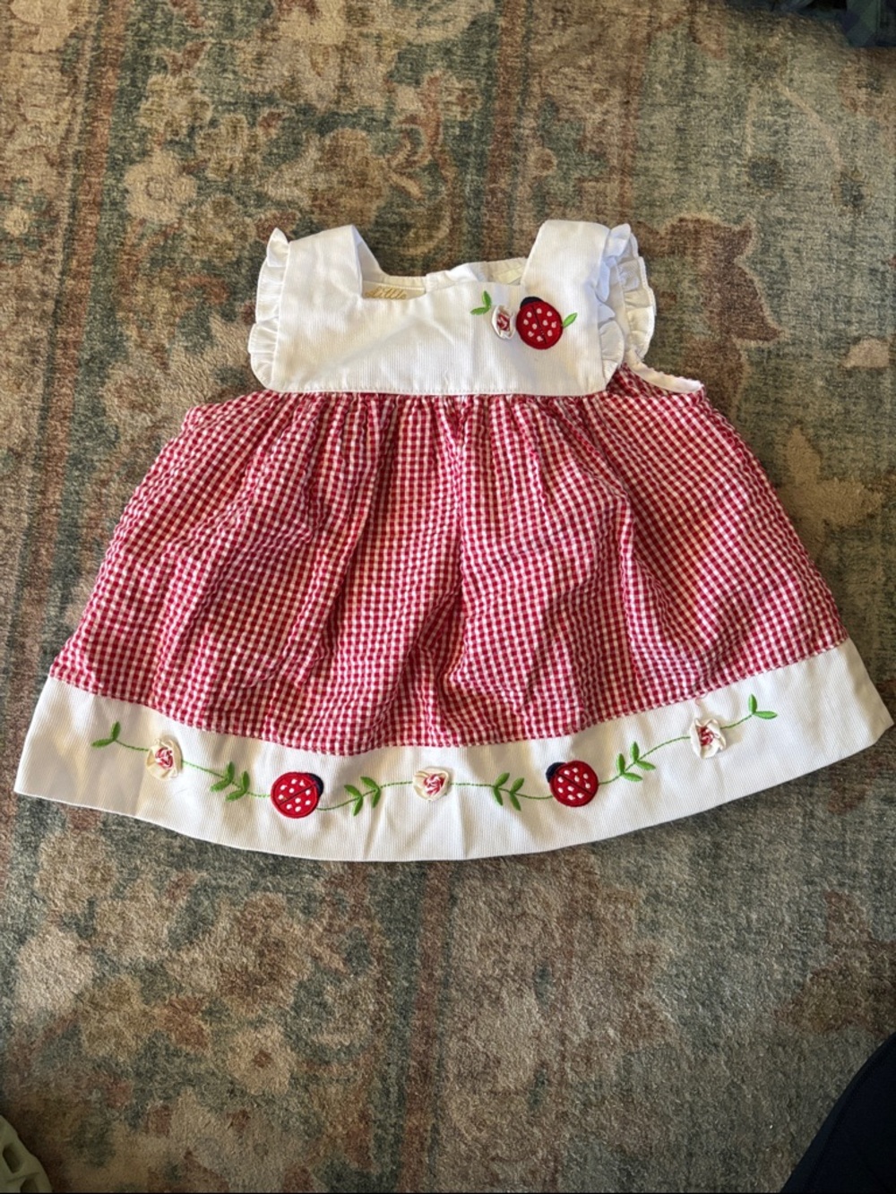 Red Gingham Baby Dress with lady bug